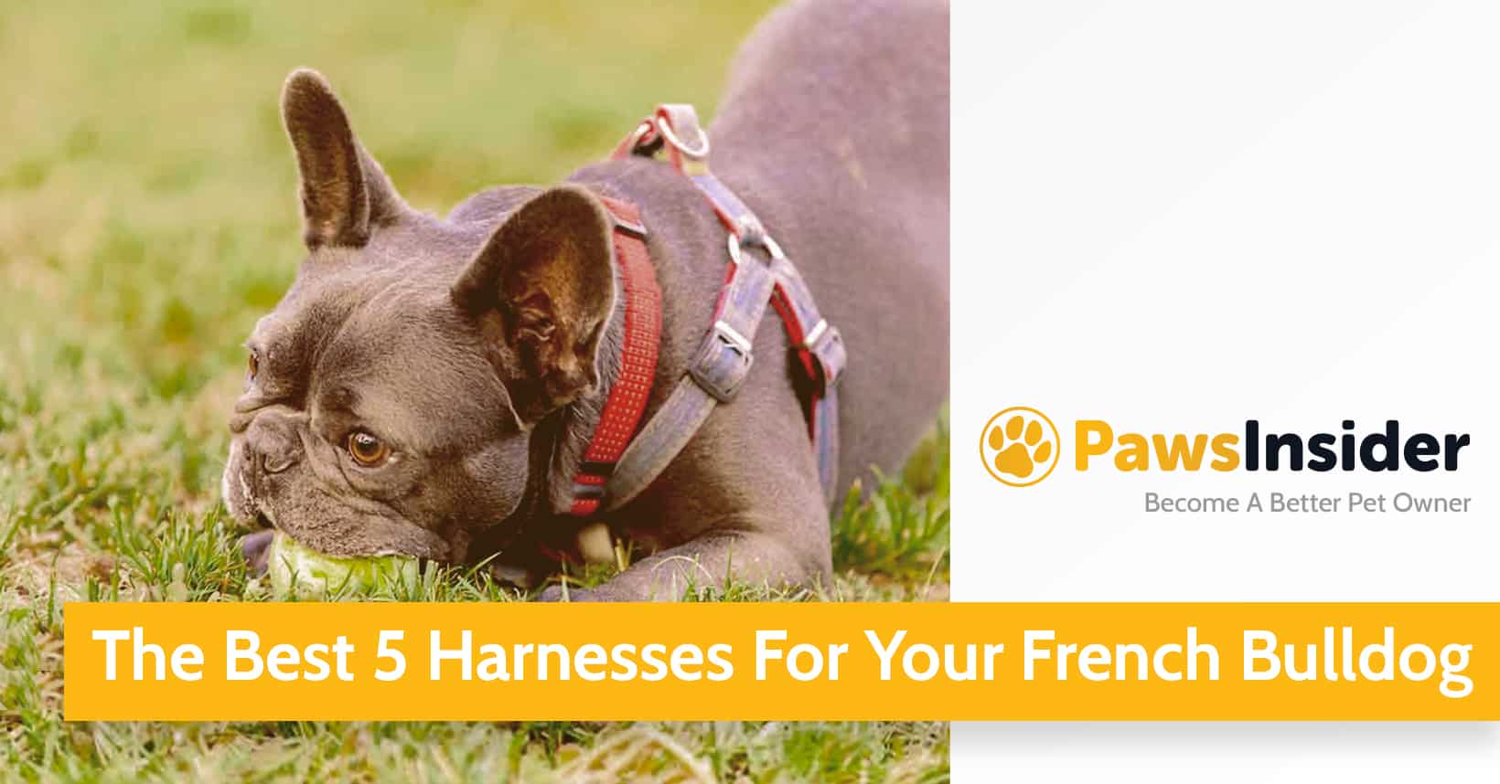 Pawsace Luxury French Bulldog No - Pull Dog Harness, Collar and