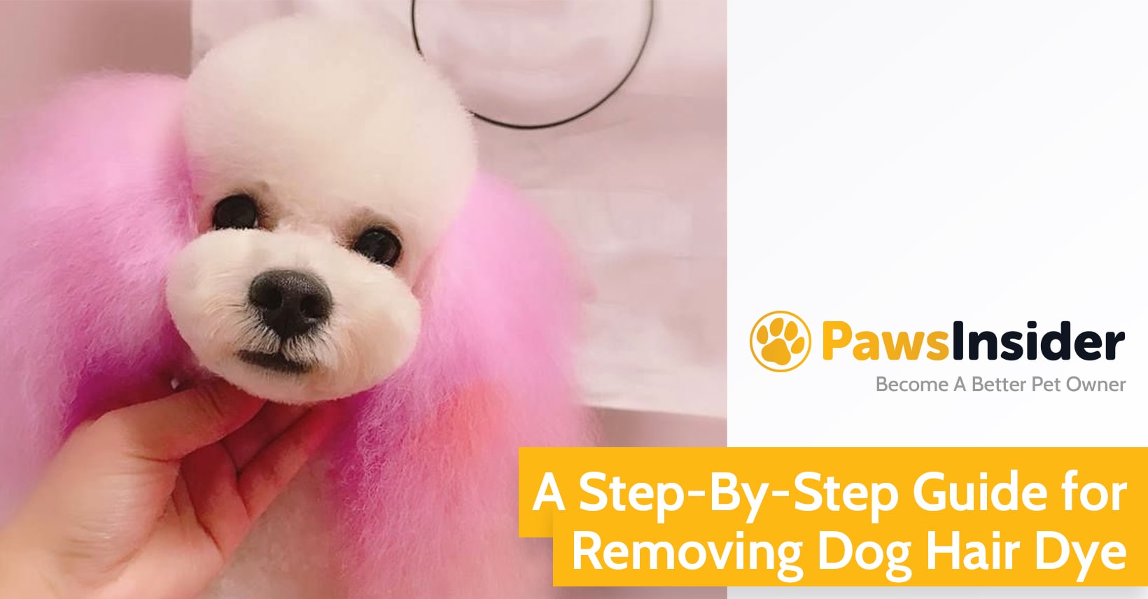 how do you remove hair dye from a dog