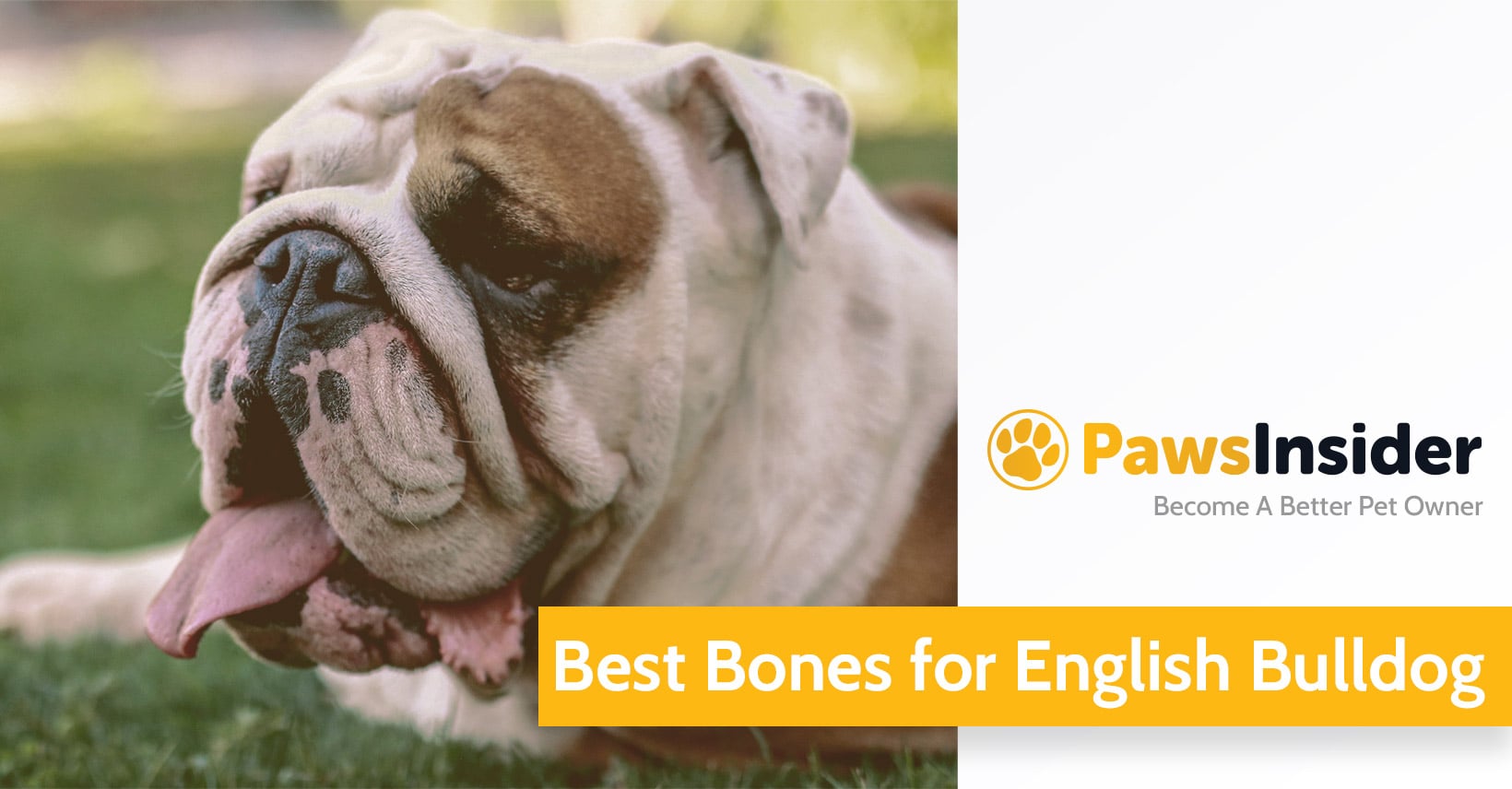 natural bones for dogs to chew